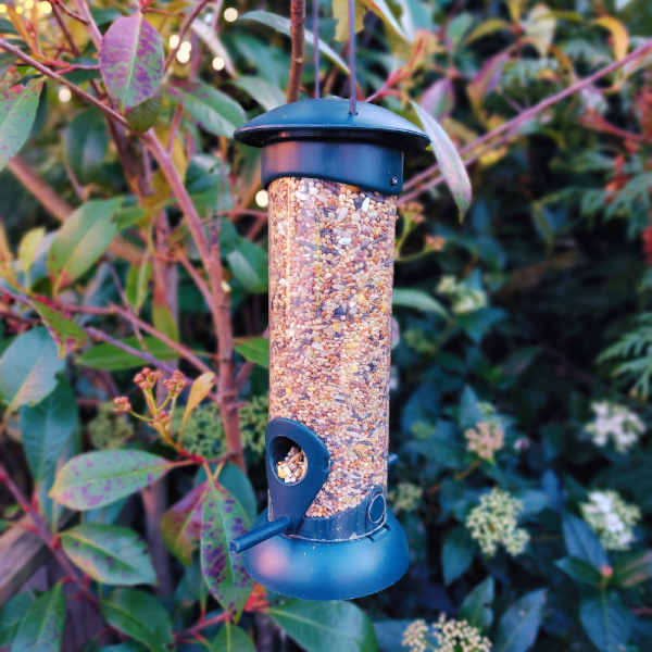Easy Fill & Clean Seed Feeder
