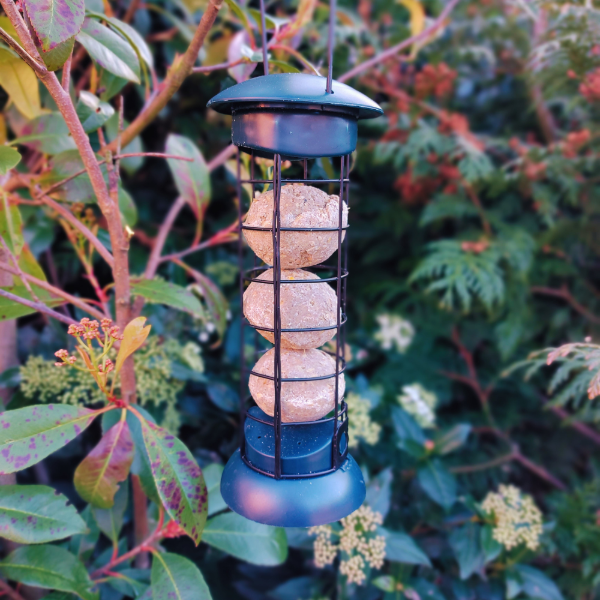 Easy Fill & Clean Suet Ball Feeder