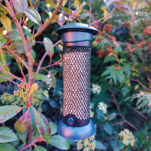 Easy Fill & Clean Sunflower Heart Feeder