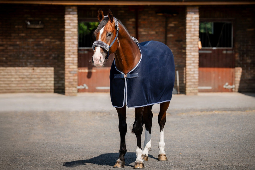 BUCAS EMERALD WOOL RUG -  Navy