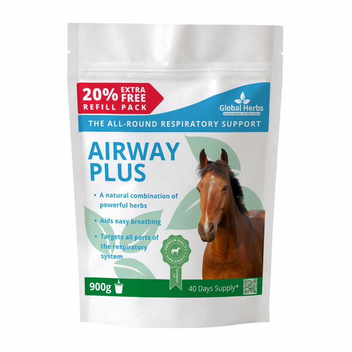 Global Herbs Airway Plus Powder Refill Pouch
