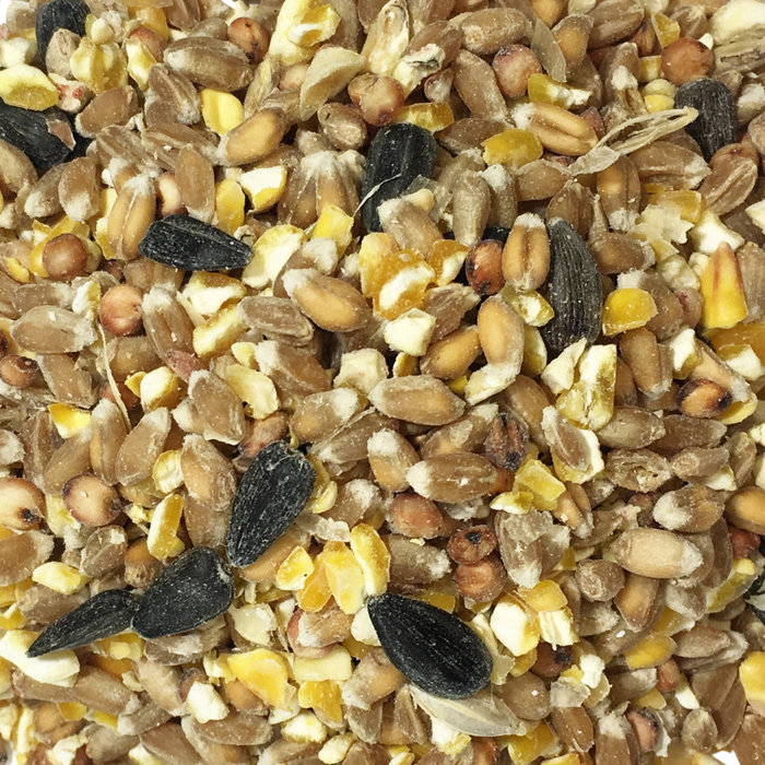 Copdock Mill Wild Bird Four Seasons Mix - product image 4