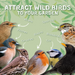 Copdock Mill Hi-Energy Garden Feast Wild Bird Mix – product image 4