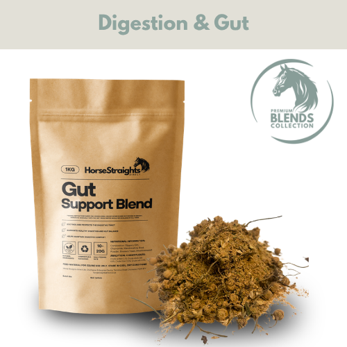 Horse Straights Direct Gut Support Blend for Horses 1kg
