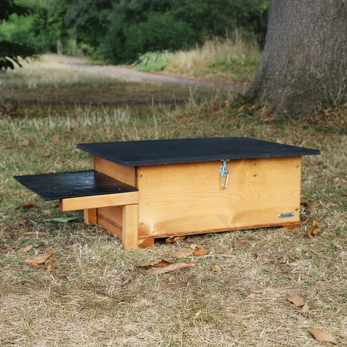 Hedgehog House Feeding Attachment