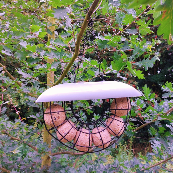 Half Moon Feeder with 6 Suet Balls