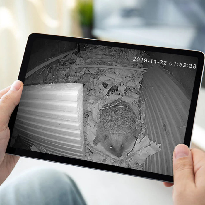 WiFi HD Hedgehog House Camera (3rd Gen)