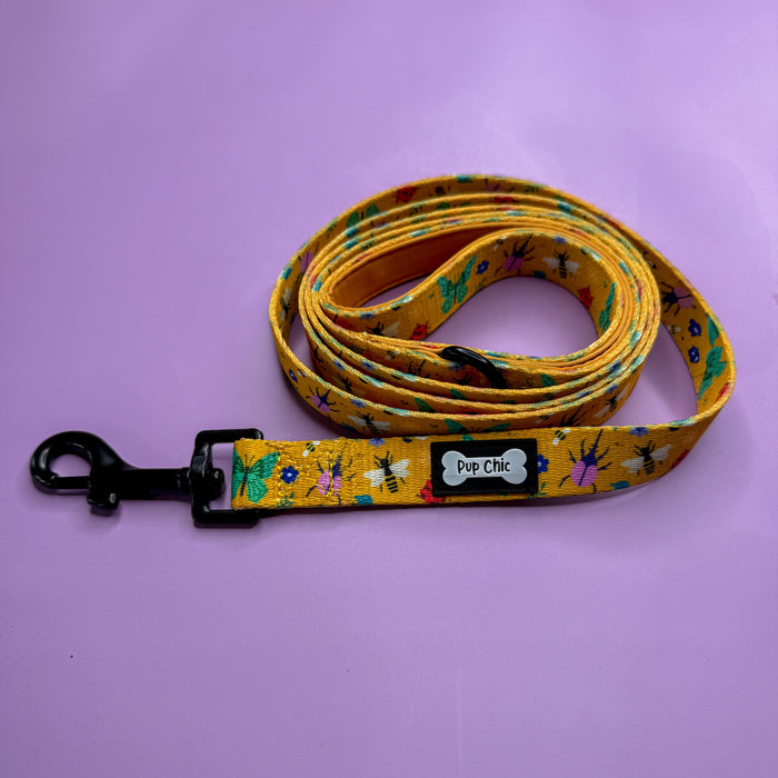 Summer Buzzin’ 5ft dog lead