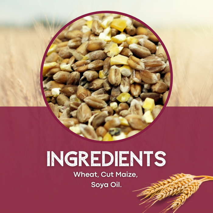 Copdock Mill Mixed Corn - product image 4
