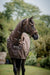 Bucas Irish Turnout Rug & Neck Cover Set 50g – Espresso