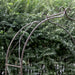 KNOTTED GARDEN ARCH - Rusty Ascalon