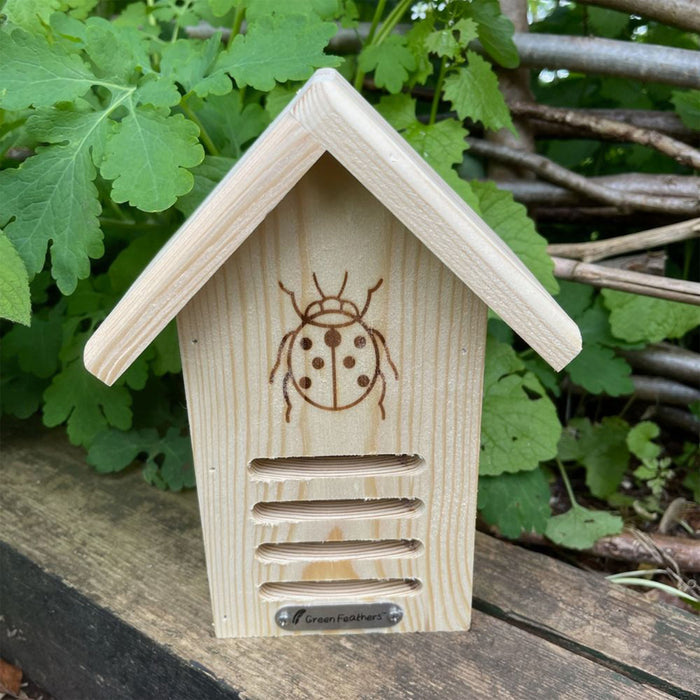Ladybird House