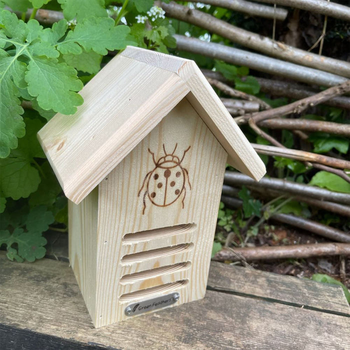 Ladybird House