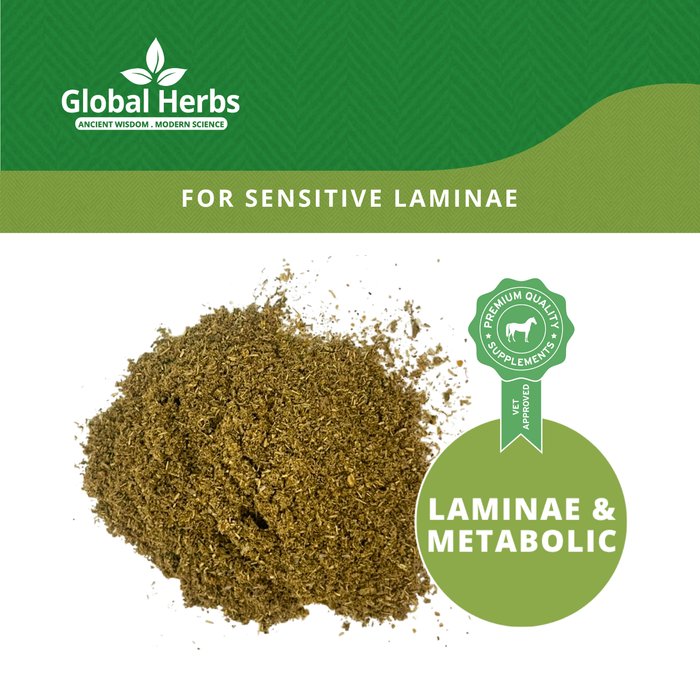 Global Herbs LamiPro Refill Pouch 750g