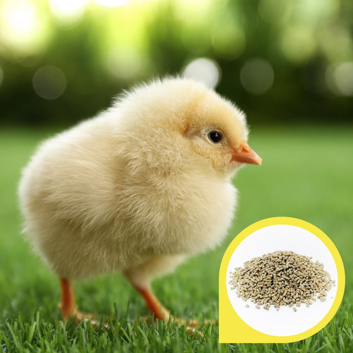 Copdock Mill Chick Starter Micros - product image 4