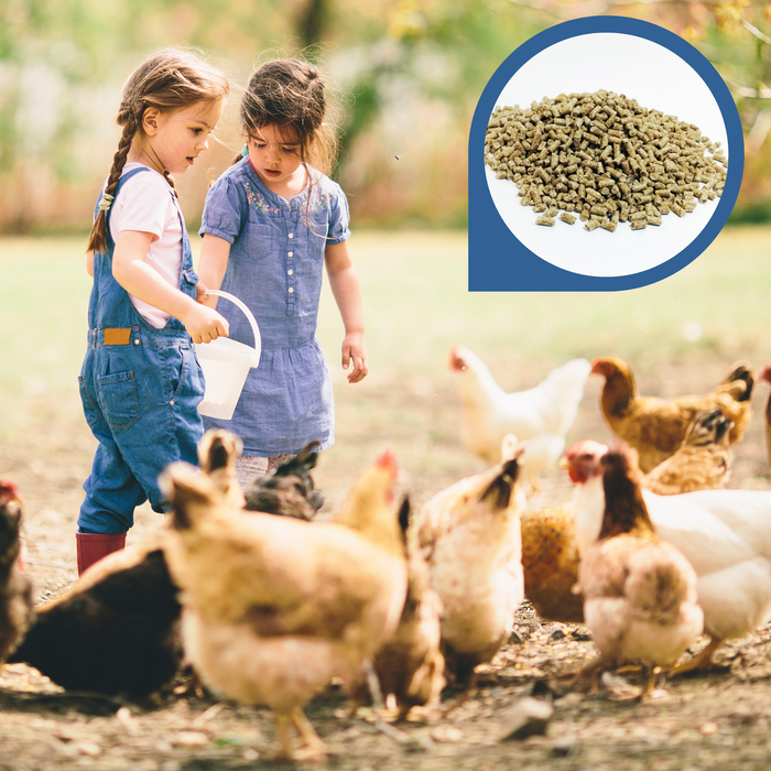 Copdock Mill Poultry Growers Pellets - product image 4