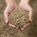 Pure Meadow Mash dry micro-pellets