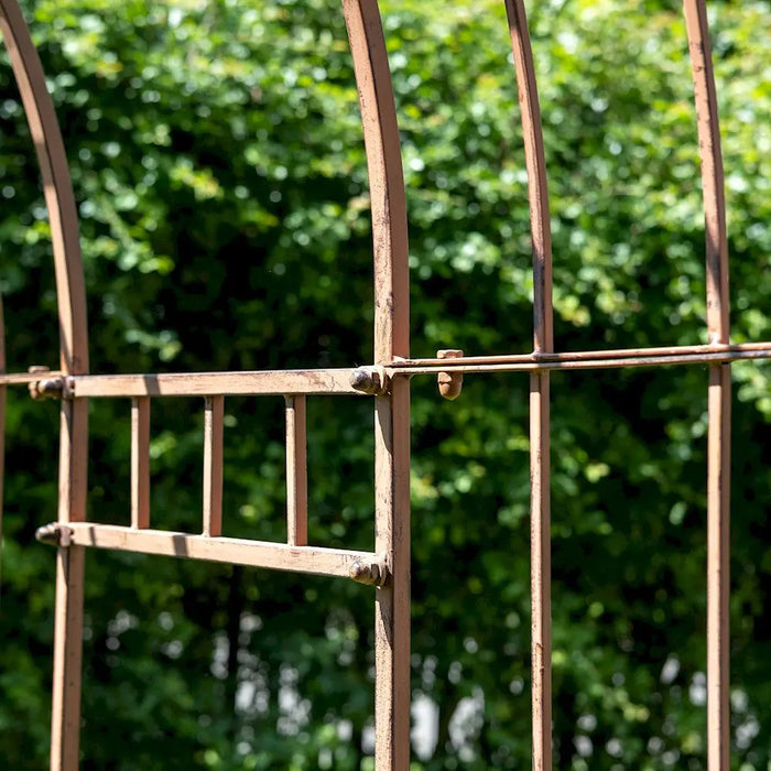 MONTPELLIER TUNNEL - Brown Ascalon