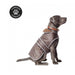 Ancol Stormguard Dog Coat – Chocolate / Extra Large – 60cm