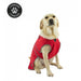 Ancol Stormguard Soft Shell Dog Coat – Bordeaux / Small – 30cm