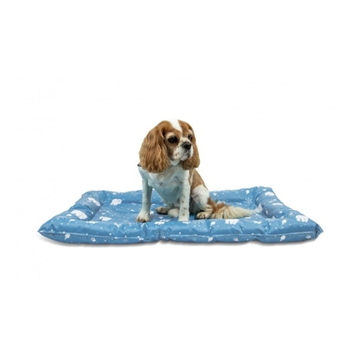 Ancol Ice Paws Cooling Dog Bed – Small – 56 x 66cm