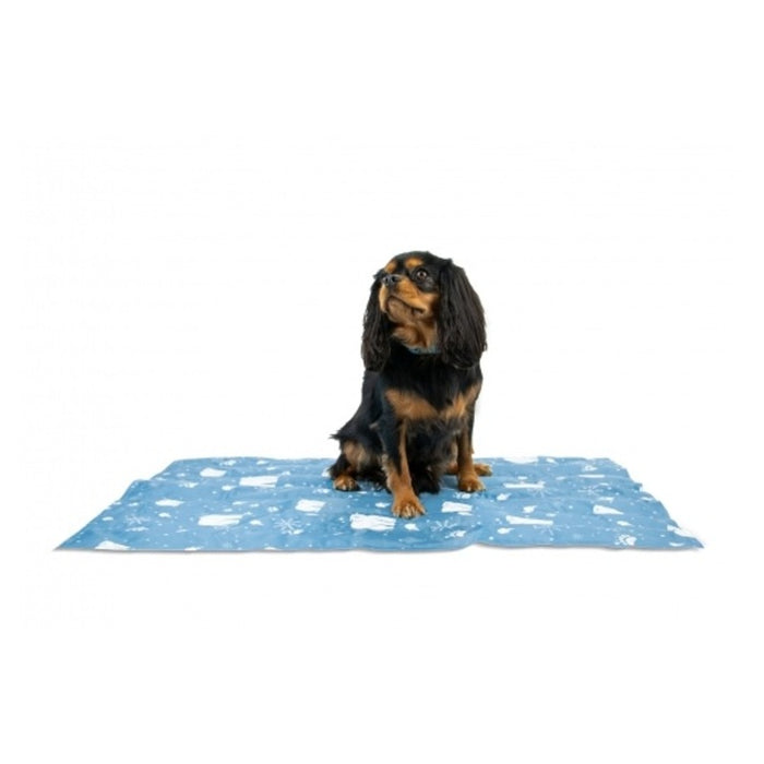 Ancol Ice Paws Cooling Dog Mat – Small – 45 x 60cm