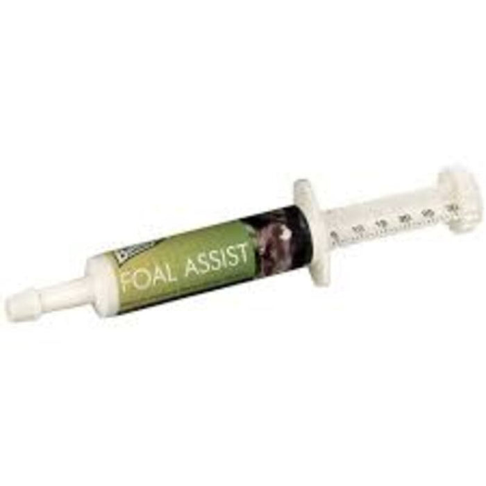 Baileys Foal Assist Syringe 30ml product image