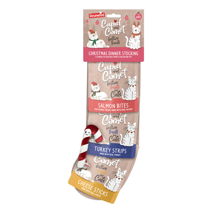 Rosewood Christmas Dinner Cat Treat Stocking