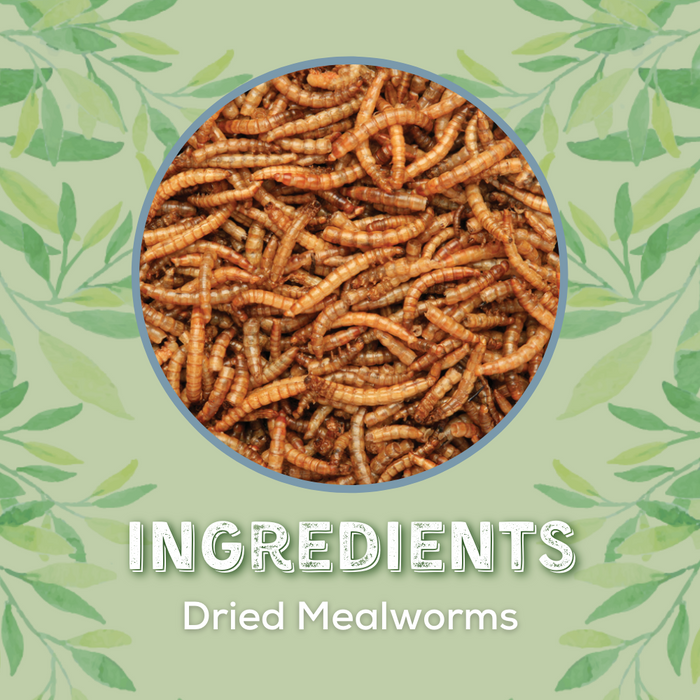 Copdock Mill Dried Mealworms – product image 3