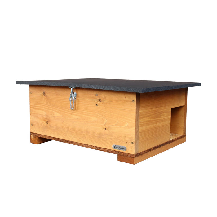 Wired Network Hedgehog Box HD Camera Pack (2nd Gen)