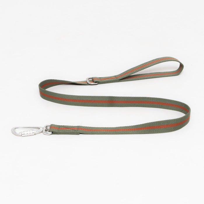 Ruff & Tumble All-Terrain canvas dog lead in Khaki / Chestnut
