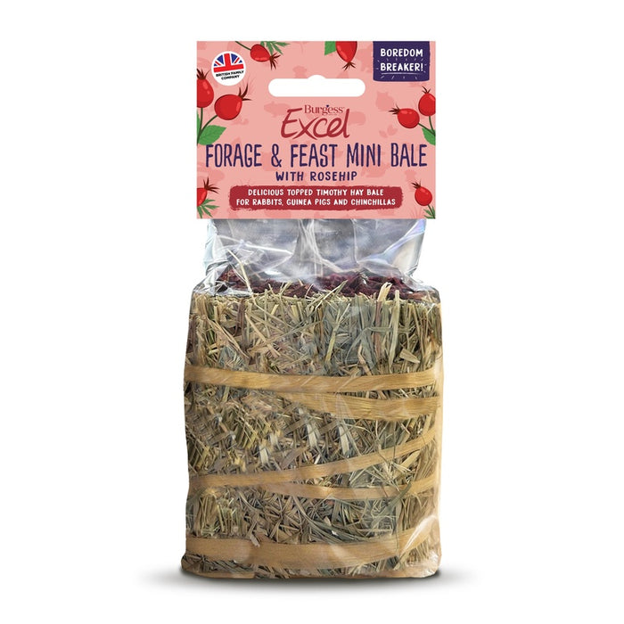 Burgess Excel Forage & Feast Rosehip Mini Bale – 8 x 100g