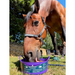 Dallas Keith Equine Flexi Essential Mineral Lick 5kg tub with horse