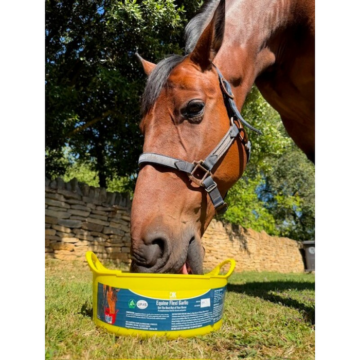 Dallas Keith Equine Flexi Garlic Mineral Lick 5kg tub with horse