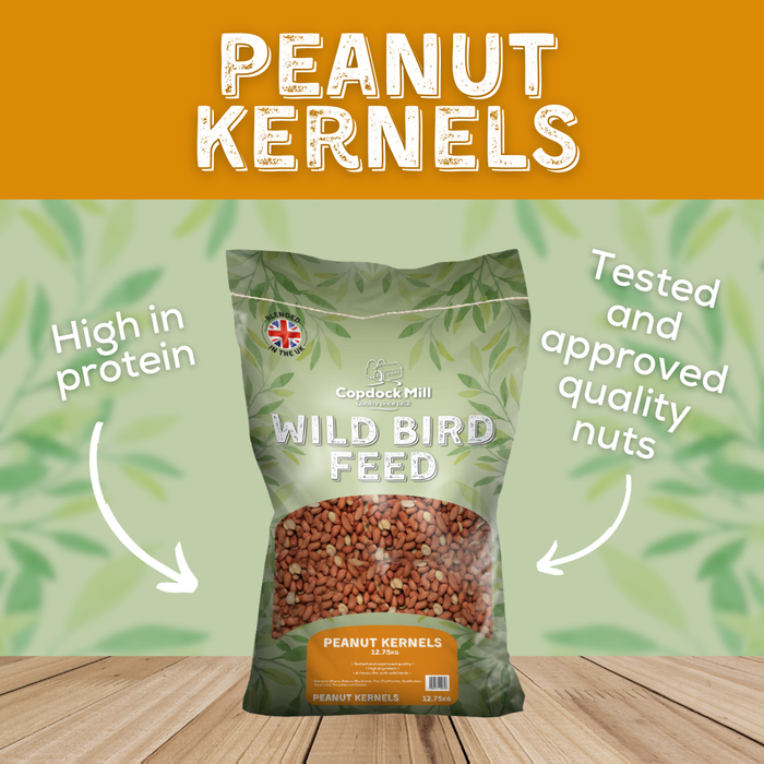 Copdock Mill Peanut Kernels – product image 3