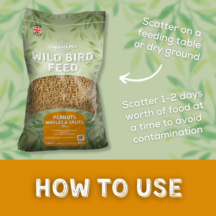 Copdock Mill Whole & Split Peanuts 20kg – product image 4