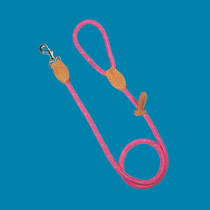 Doodlebone Rope Dog Lead  - Various Colours & Sizes