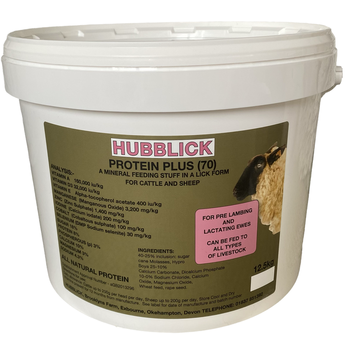 Hubblick Protein Plus Lick 12.5kg – product image 1
