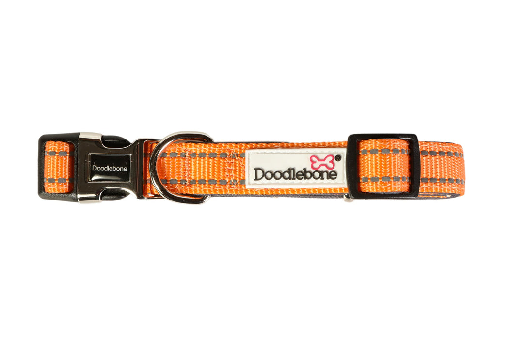 Doodlebone Padded Dog Collar  - Various Colours & Sizes