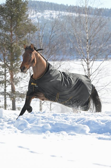 IRISH TURNOUT 150 -  Black / Gold