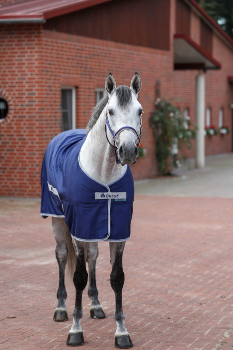 BUCAS FREEDOM TWILL SHEET PONY -  Navy