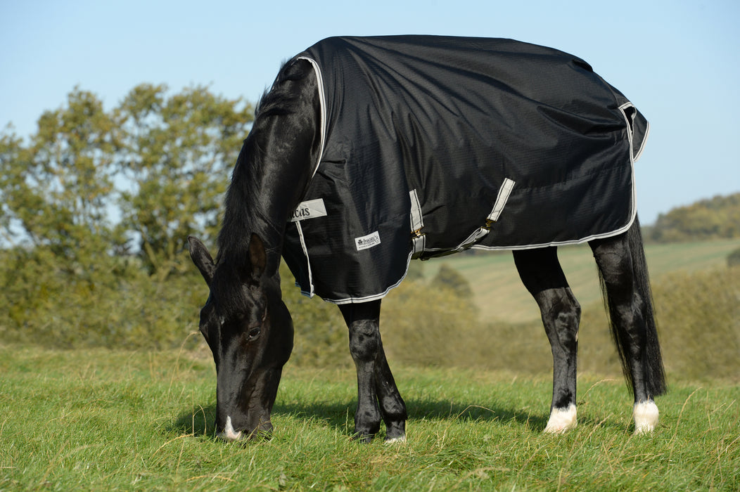 ANNIVERSARY TURNOUT LIGHT STAY-DRY -  Black