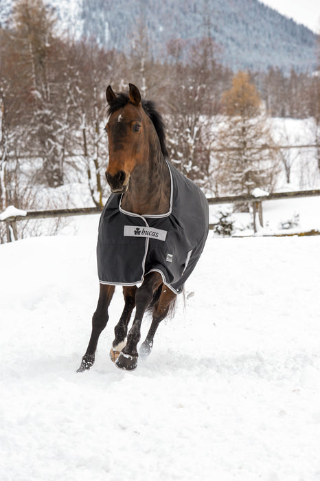 ANNIVERSARY TURNOUT 50 SILK-FEEL -  Black