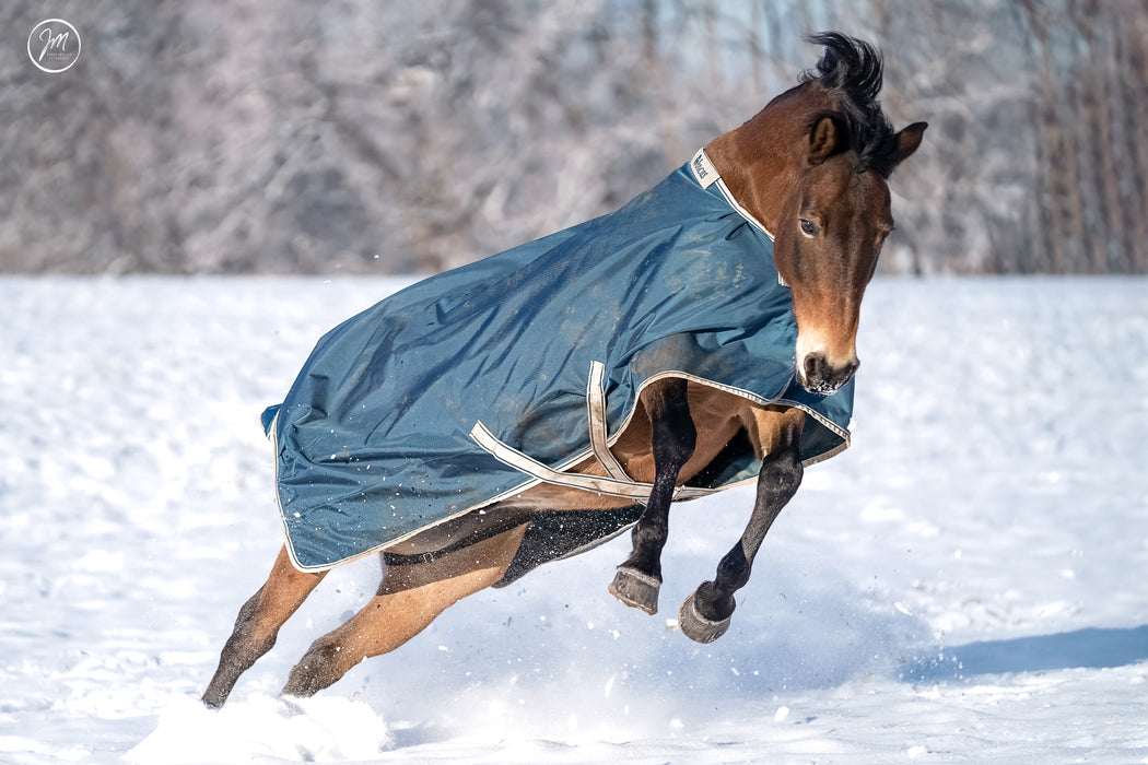 ATLANTIC TURNOUT 50 -  Atlantic Green