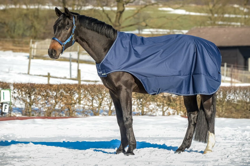 BUCAS WALKER RUG -  Navy/Silver