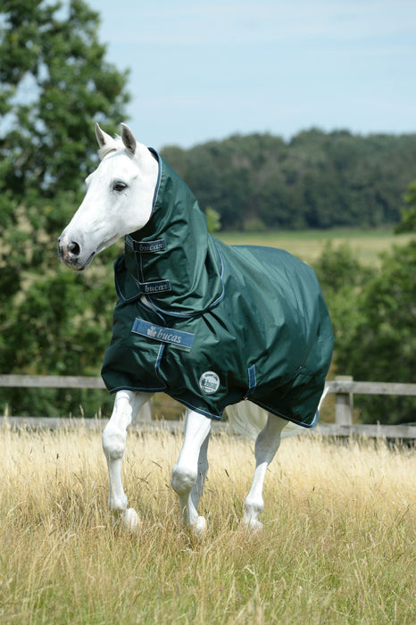 GREENLINE TURNOUT 100 -  Green/ Cream