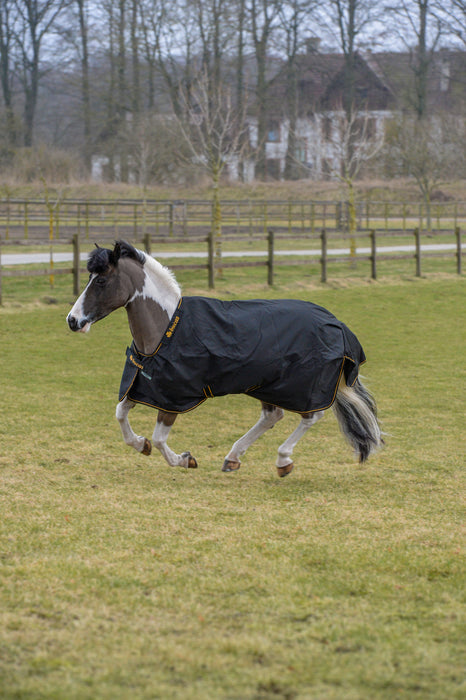 IRISH TURNOUT 300 PONY -  Black / Gold