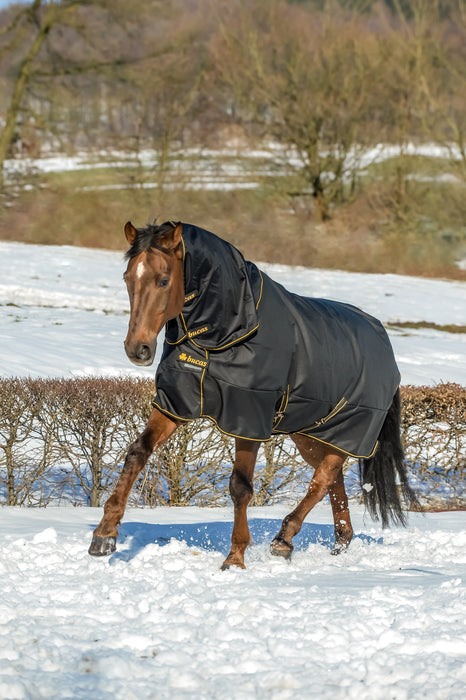 IRISH TURNOUT COMBI NECK 300  -  Navy / Gold