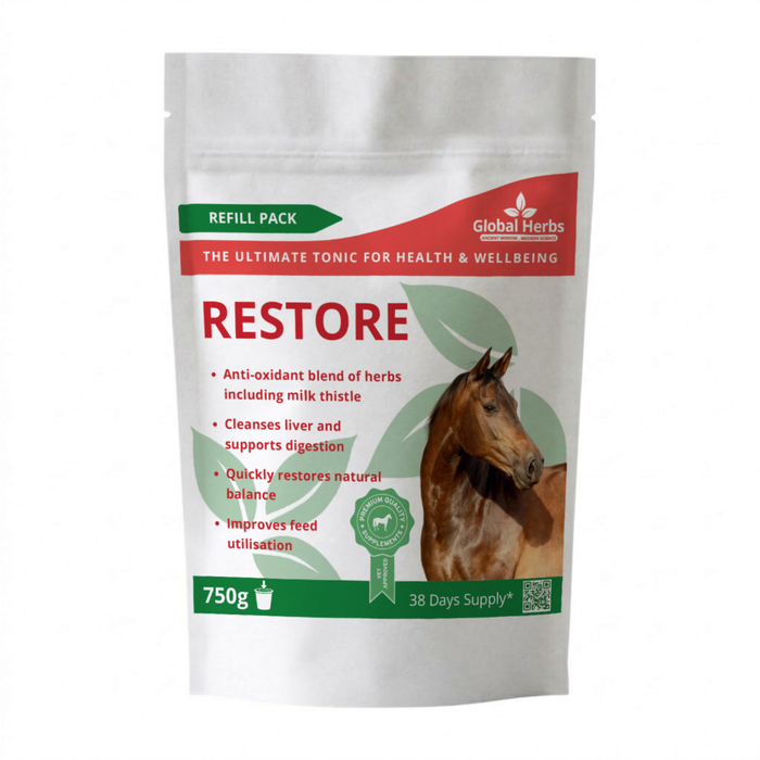 Global Herbs Restore Powder Refill Pouch 750g