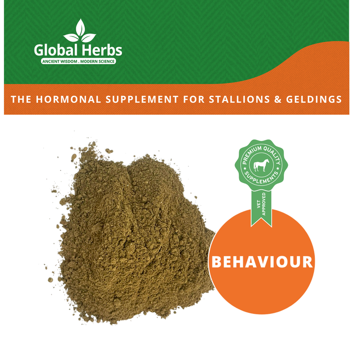 Global Herbs RigCalm Refill Pouch